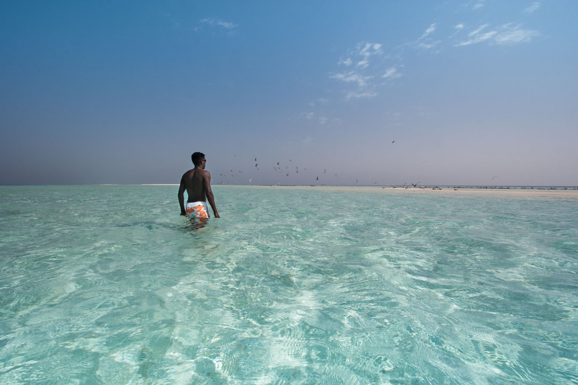 Immagine di una spiaggia tropicale