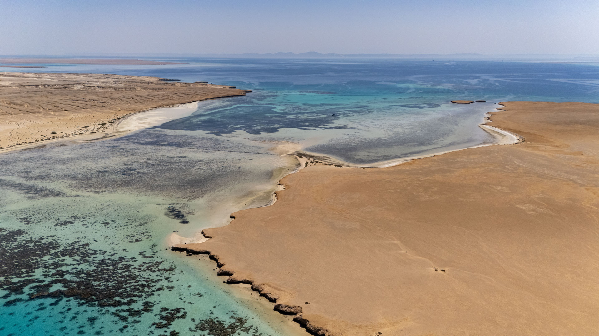 Immagine di una spiaggia tropicale